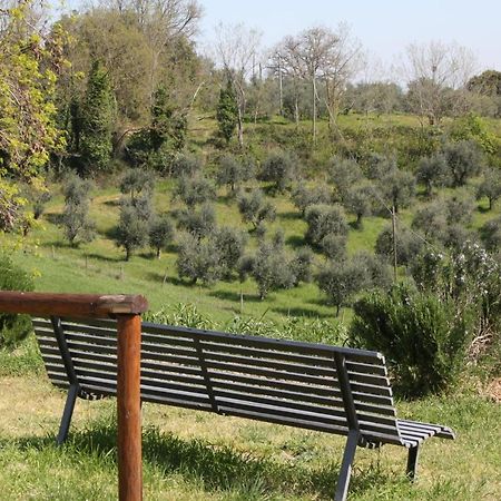 Fattoria San Donato Villa San Gimignano Eksteriør bilde