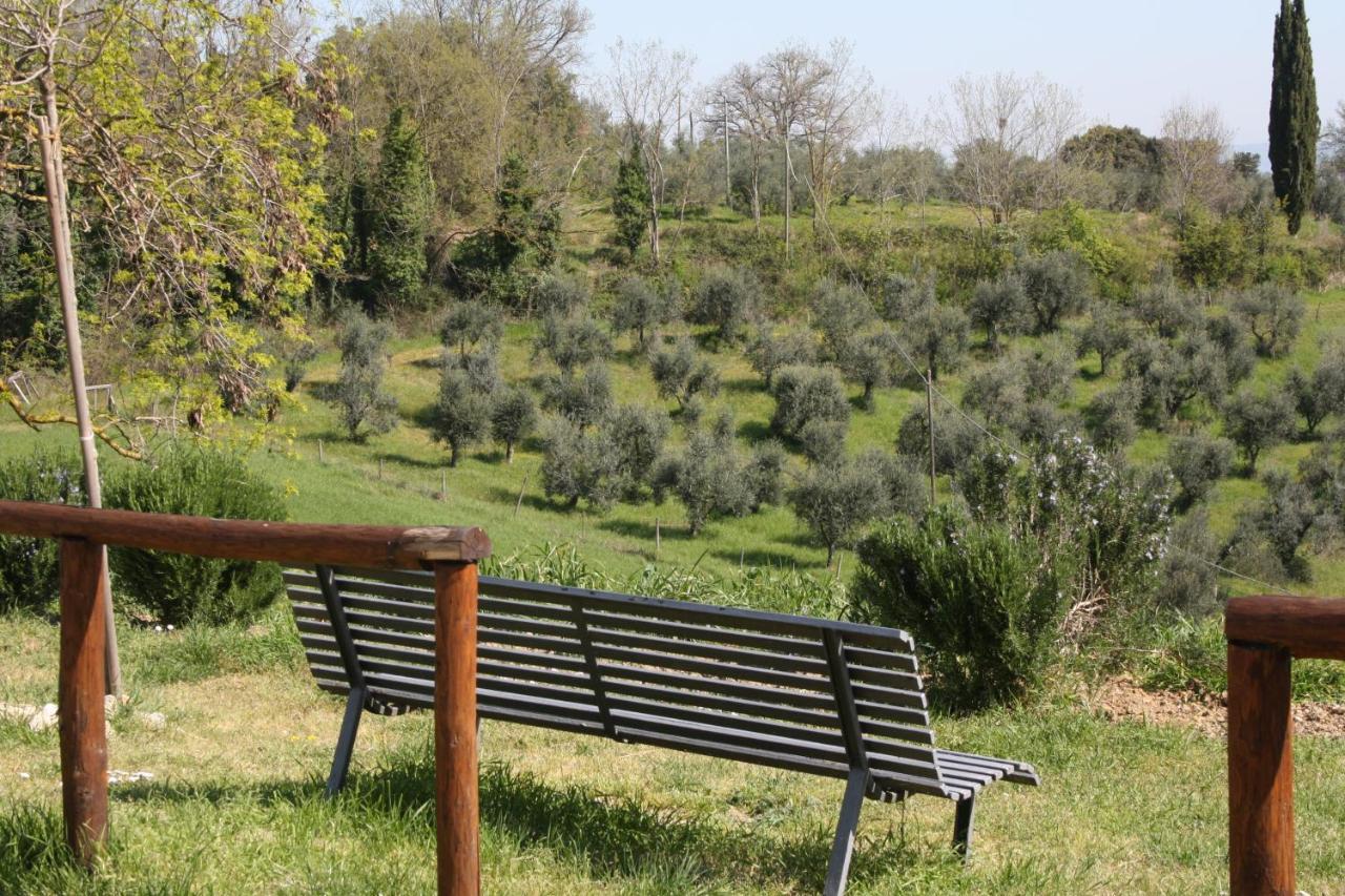 Fattoria San Donato Villa San Gimignano Eksteriør bilde